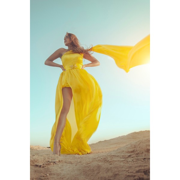 Nunc consequat nunc vitae risus vulputate tincidunt