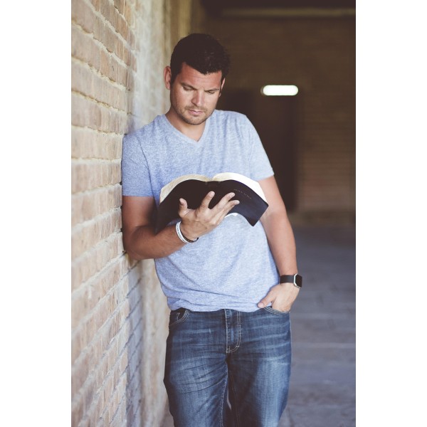 In hac habitasse platea dictumst