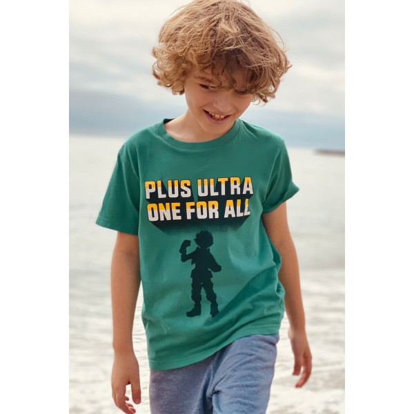 Fusce commodo sollicitudin