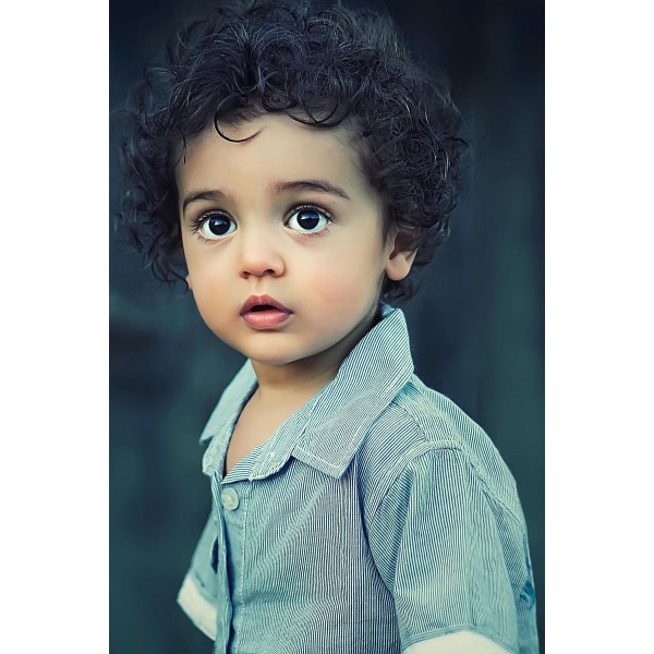 Morbi vel nulla ac leo ultricies placerat