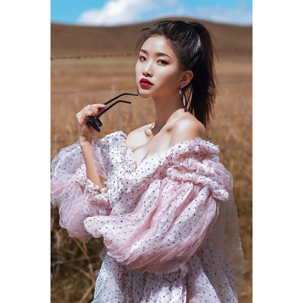 Sed vel venenatis risus