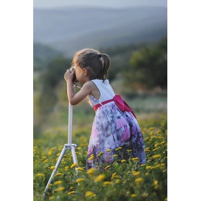 Quisque pulvinar erat ut ex consectetur sollicitudin