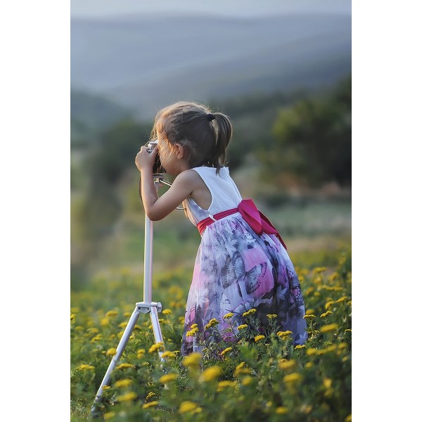 Quisque pulvinar erat ut ex consectetur sollicitudin