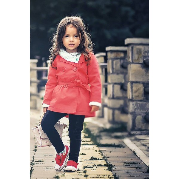 Aliquam non aliquam metus