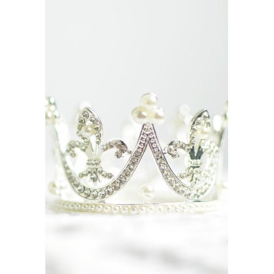 Duis pellentesque bibendum eleifend