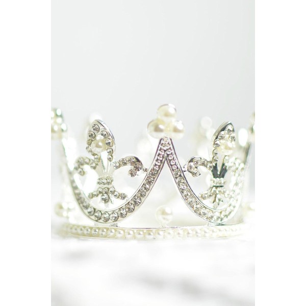 Duis pellentesque bibendum eleifend