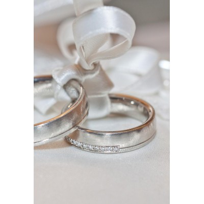 Proin tempus ac lectus feugiat