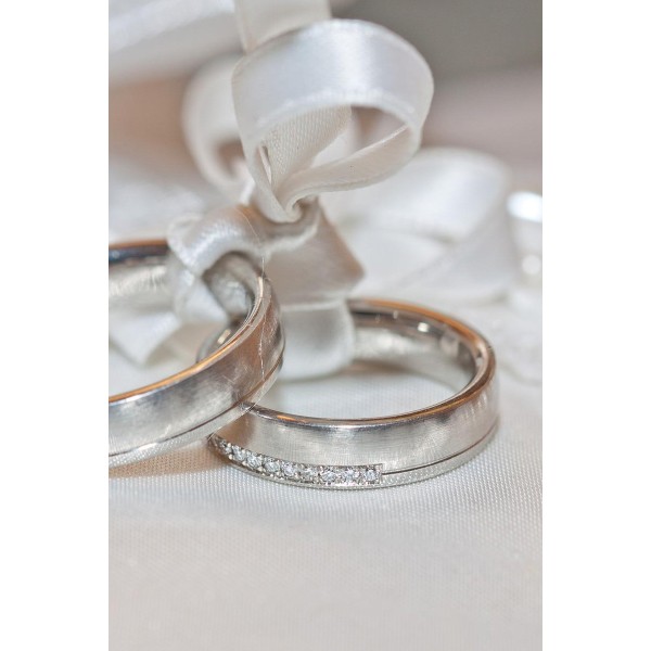 Proin tempus ac lectus feugiat