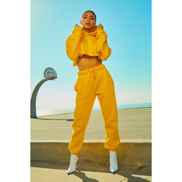 Vestibulum ante ipsum primis