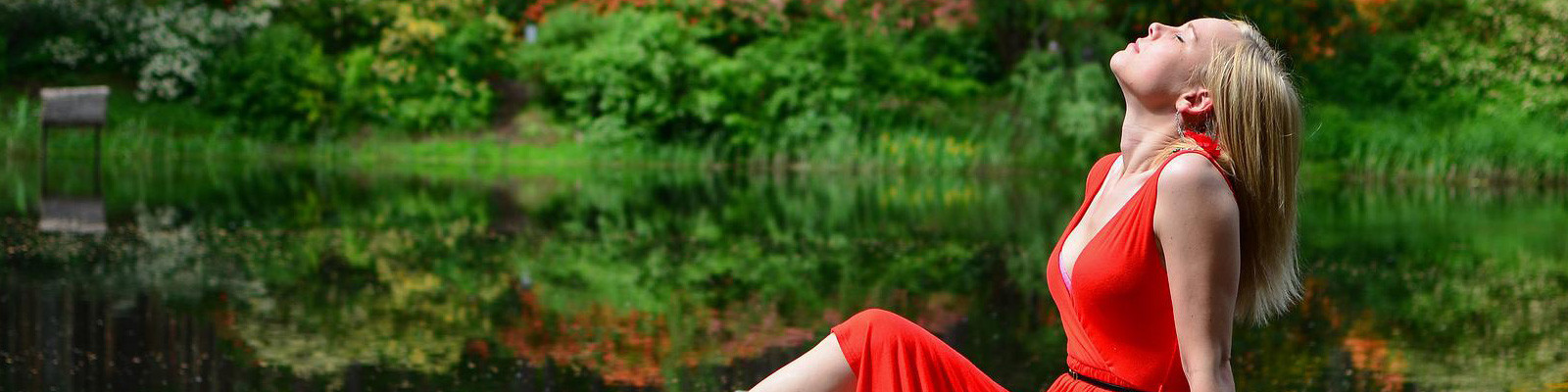  Donec fermentum semper turpis eu ornare